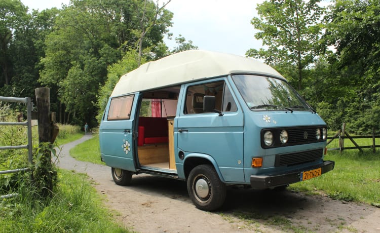 Mr. Blue – Gezellige 2-4persoons Volkswagen T3 uit 1986!