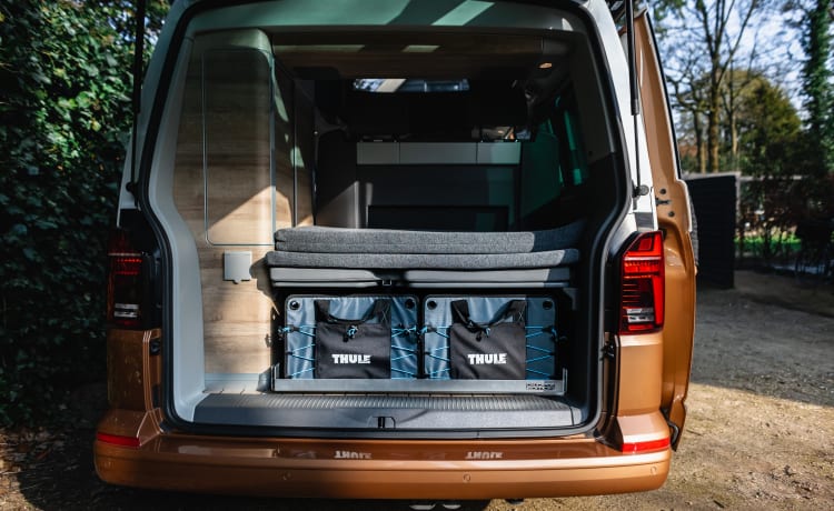 Dutch Nomad Van  – NOUVEAU! VW California Ocean 6.1 complet et luxueusement équipé.