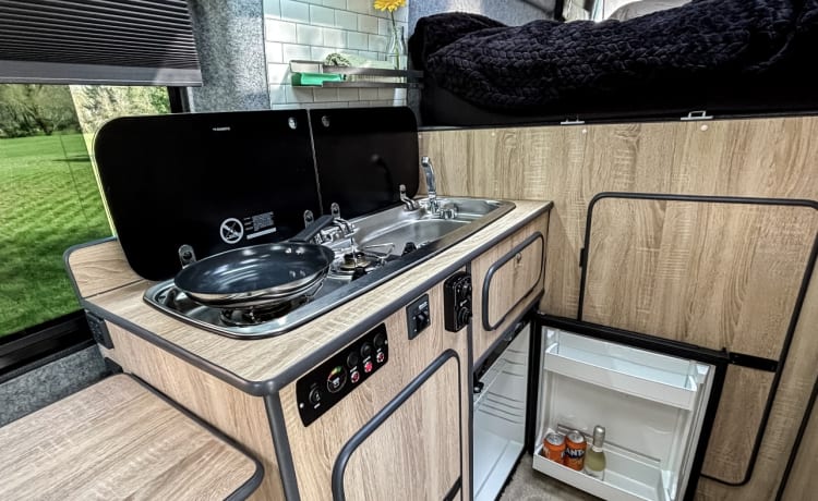 Hugo Away – Ford Transit Jumbo (Insurance included)