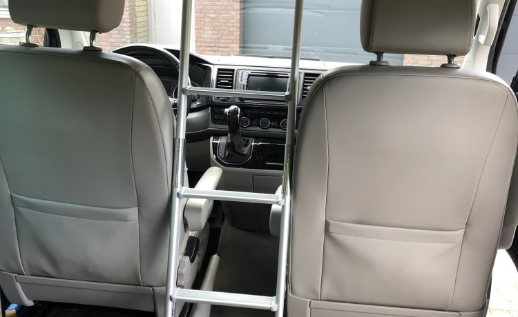 Luxus 4WD VW California (2019)