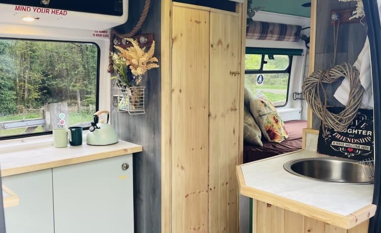 Annie The Ambulance – Ex-Ambulance, 3 Birth, Converted Campervan