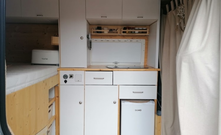 Willy – Eigen gebouwde Fiat Ducato camper