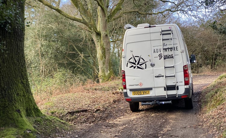 Connie – In the New Forest ready for adventures