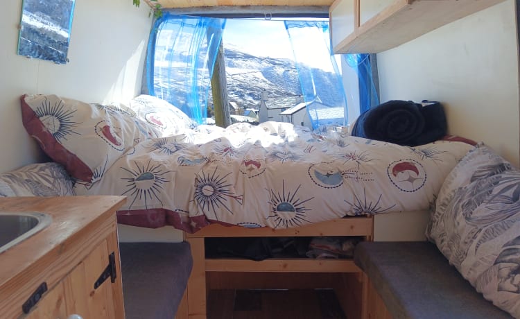 Lola – Ford Campervan mit 2 Schlafplätzen, Baujahr 2008