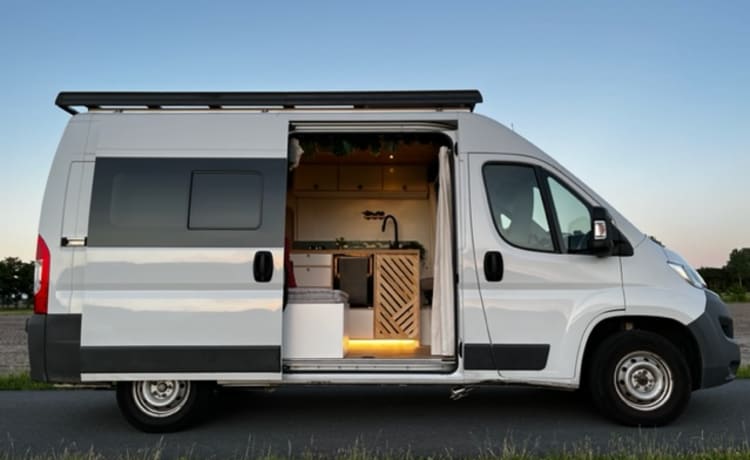 Try Vanlife – Probieren Sie Vanlife aus! in unserem Fiat Ducato Off the Grid (großes Festbett)