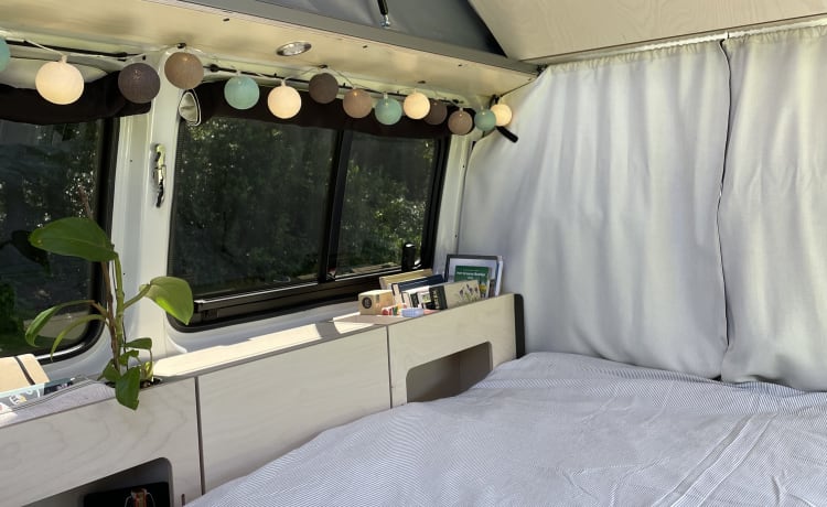 Comfortable, Complete, Cozy and Compact - Ventje VW T6