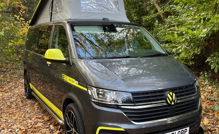 Fergus – 2021 Volkswagen Campervan T6 für 4