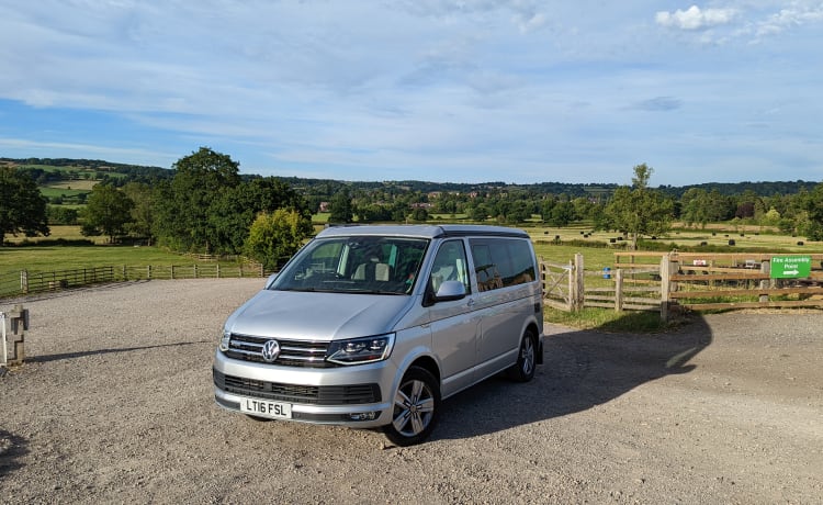 Rocky California  – 4-persoons Volkswagen California Ocean bus uit 2016