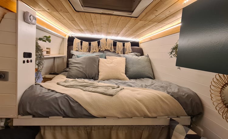 't buske! – Practical multifunctional motorhome for 2 people