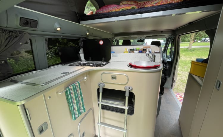 Ford Nugget Camper mit Aufstelldach