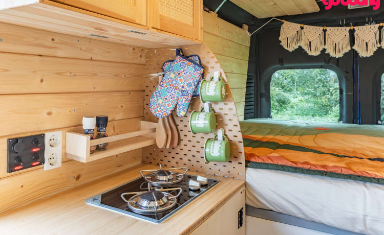 Ollie – Camping-car confortable et attrayant pour 2 personnes