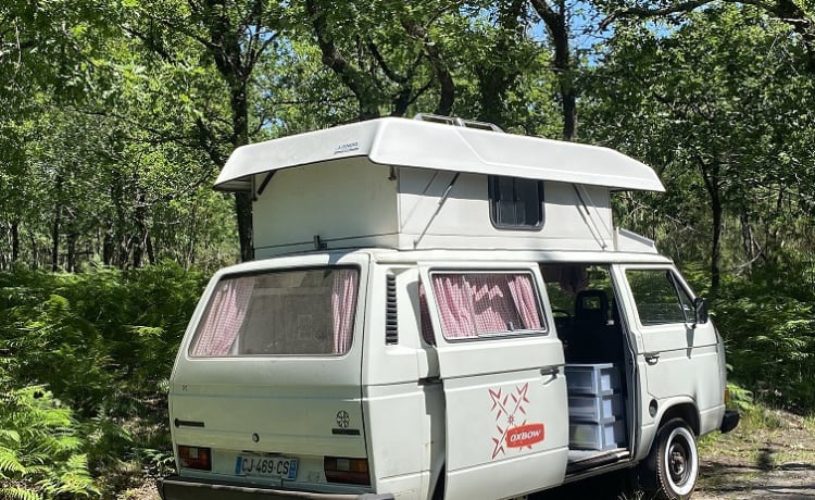 Transporter – Transporter T3 Van Joker Landotte - Auf dem Weg ins Abenteuer!