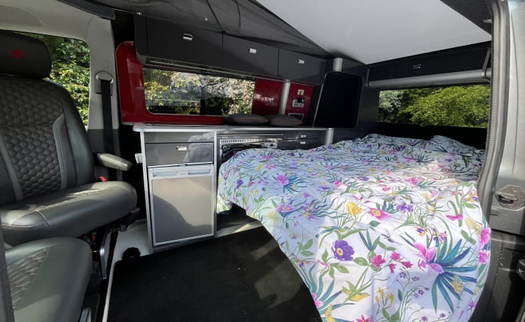 4 berth Volkswagen campervan from 2021