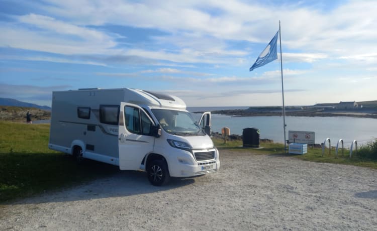 BETTY – ELDDIS VOGUE 155