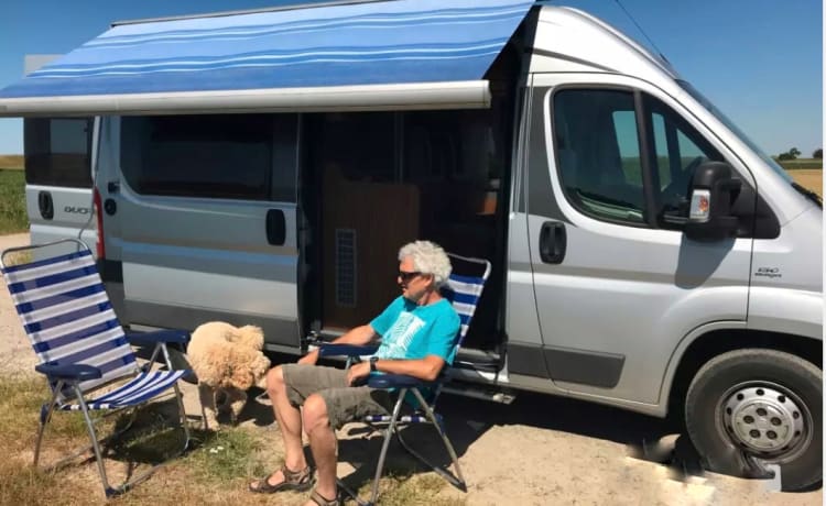 Autocar camping-car Globecar 600L avec lits longs, pour 2 personnes. Chien autorisé.