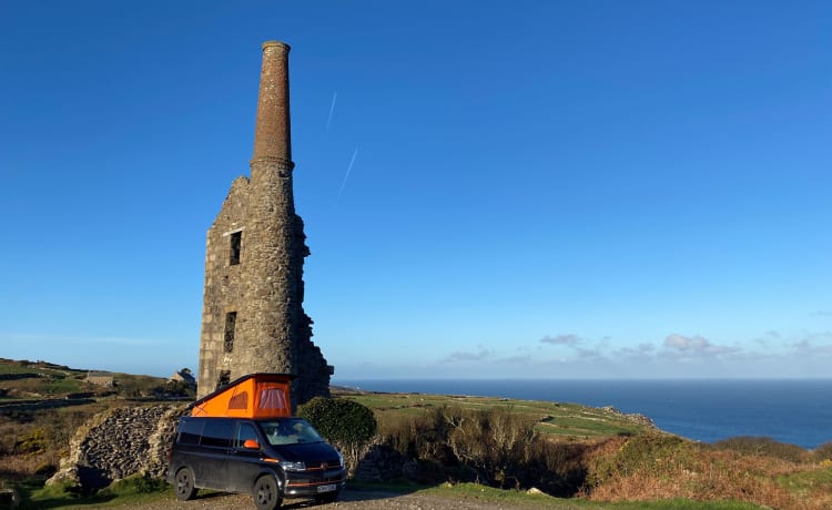 Gino D’Campervan – Cornish T6 Ad-Van-Tuur!