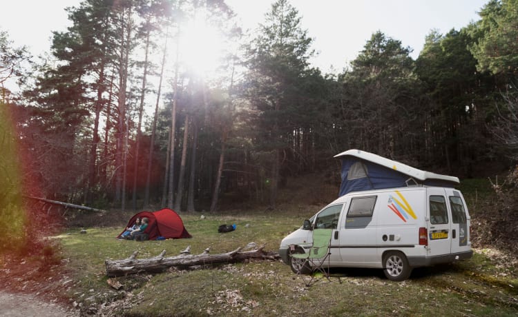 Scudo – Nice compact camper 🚐🏝