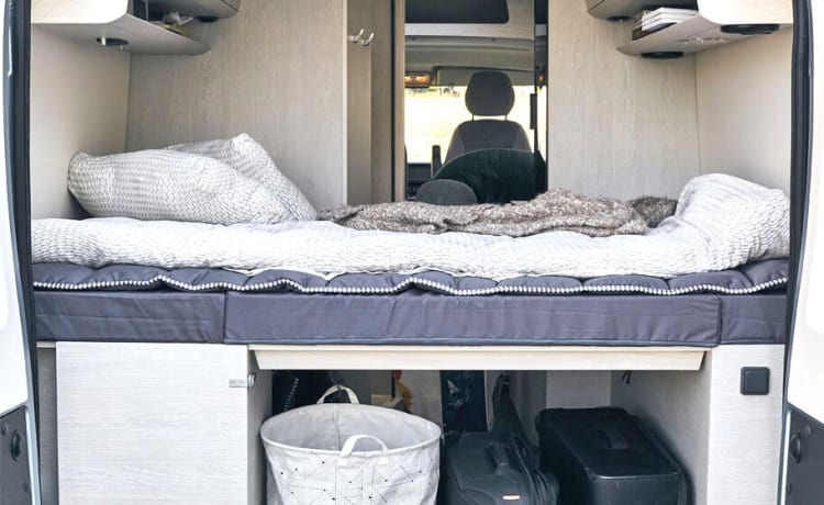 Tourne 6.4 – Neuer Bus-Camper zu vermieten Peugeot Boxer