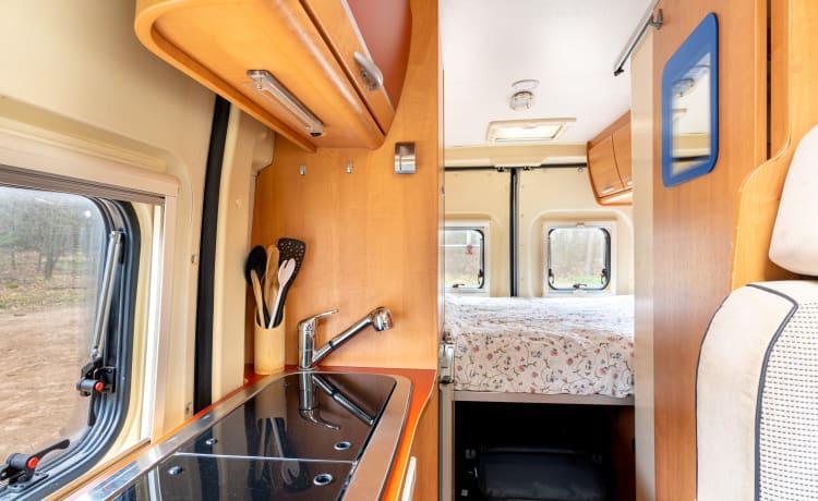 2 person bus camper with fixed bed and sanitary facilities