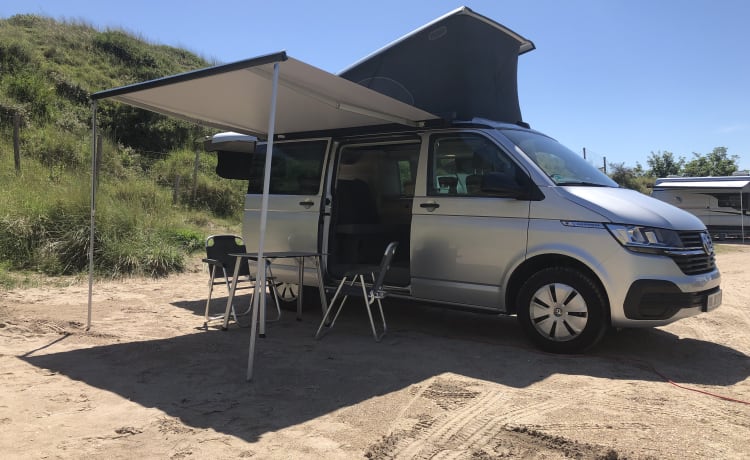 Traumbulli – "Bulli" Californië T6.1 Coast