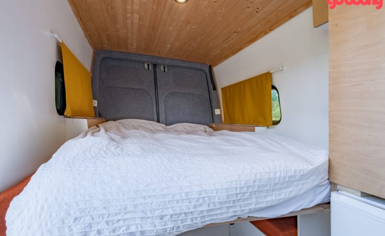 Keesie – Camper per autobus fuori rete Volkswagen Crafter con terrazza sul tetto