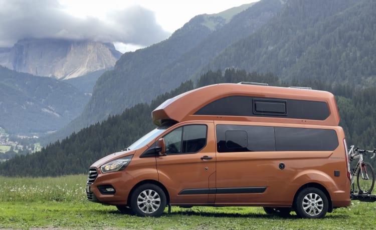Buggy – Ford Transit Nugget Plus