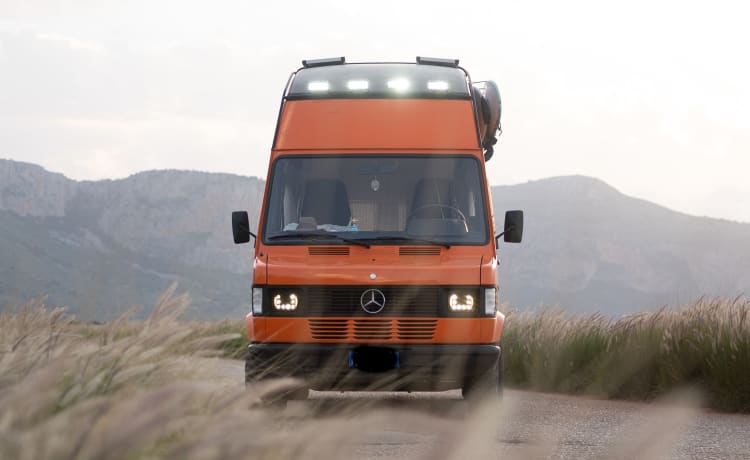 Maui – VAN MERCEDES WESTFALIA T1