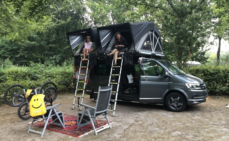 Rooftop party Van  – Happy 4 person Volkswagen party Van. 