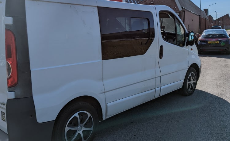 Zebra Vivaro – Scopri i segreti del Lake District