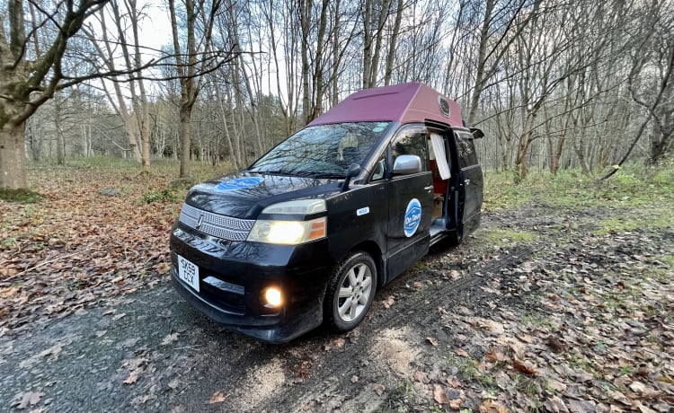 Max – Camping-car mignon et rustique chauffé - hors réseau (camp d'hiver idéal)