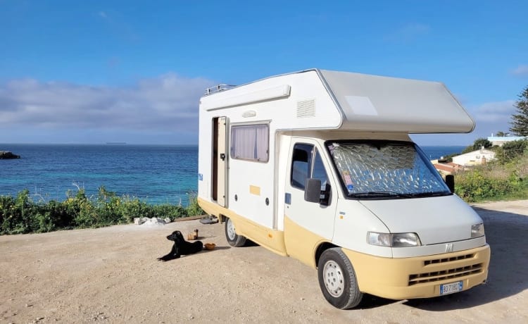 Freddy – "Camper Mansardato Fiat Ducato : Classico Vintage Familiare"