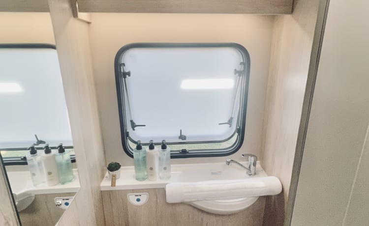 Winston  – 6 berth, 4 belt (2022)