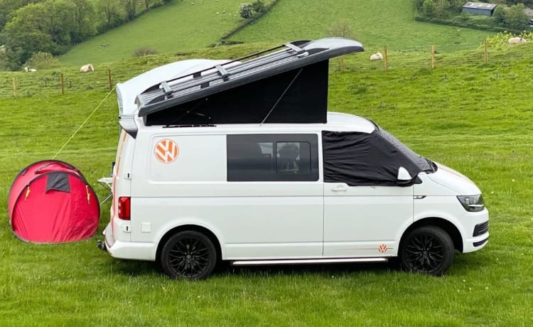 Nessa – Camper VW 4 posti letto (assicurazione inclusa)