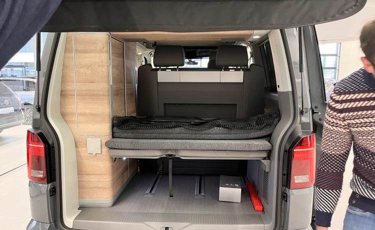 van 4 motion – ! CHRISTMAS PROMOTION: 6 NIGHTS + 1 NIGHT FREE. VW CALIFORNIA OCEAN NEW 2023