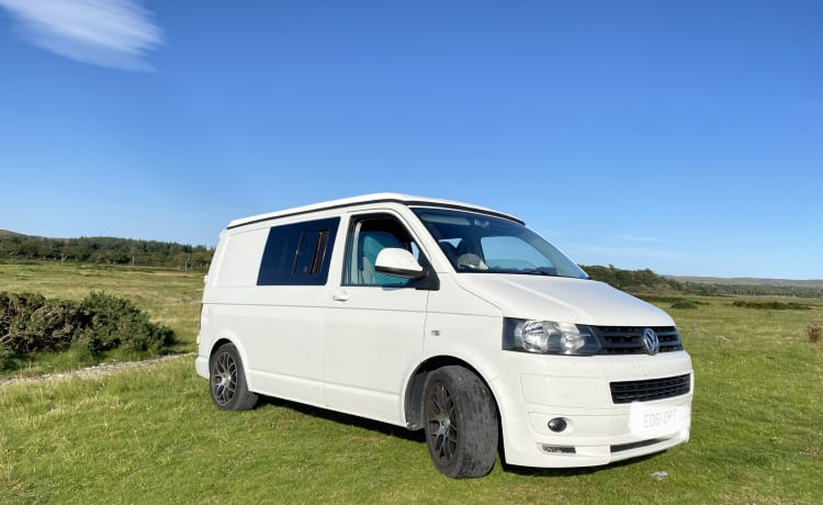 Spike the Hedgehog – Off-grid 2011 VW T5 4 couchettes Campervan rabais de dernière minute