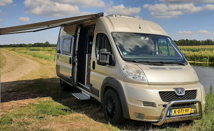 Travelcar – Schöner cooler moderner 2-Personen-Wohnmobilbus