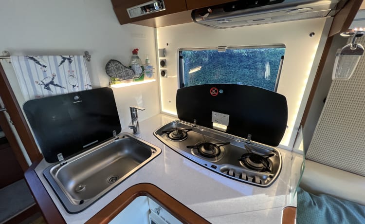 Dougie – Luxe ruime 4 persoons Rapido camper - wildkamperen klaar