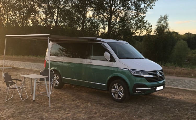 Kampie – Volkswagen California Ocean automatic