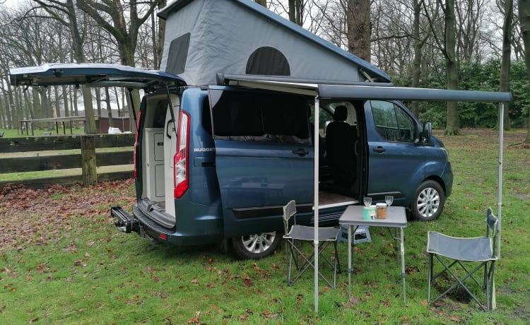 4p Ford campervan uit 2021