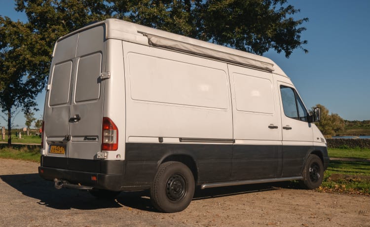 "Stiertje" – 2p Mercedes-Benz bus uit 2003