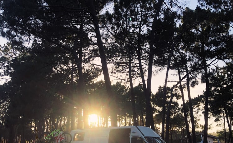 Ivy – Ruime Iveco Daily campervan 