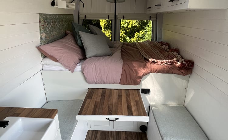 Big Bex – 2 berth Campervan