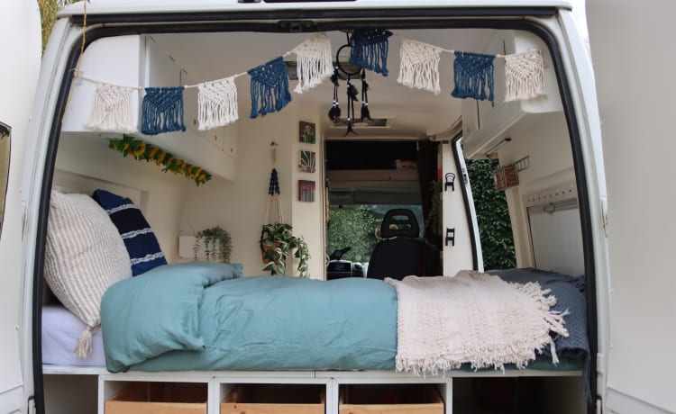 Bella de koe – 2p fiat ducato (ideal for surfers and/or animal owners) 