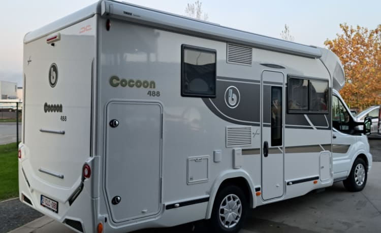 Benimar cocoon 488  2022