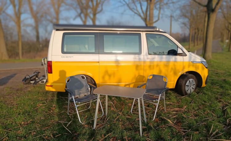 STORMY 2 – Volkswagen California Ocean NIEUW