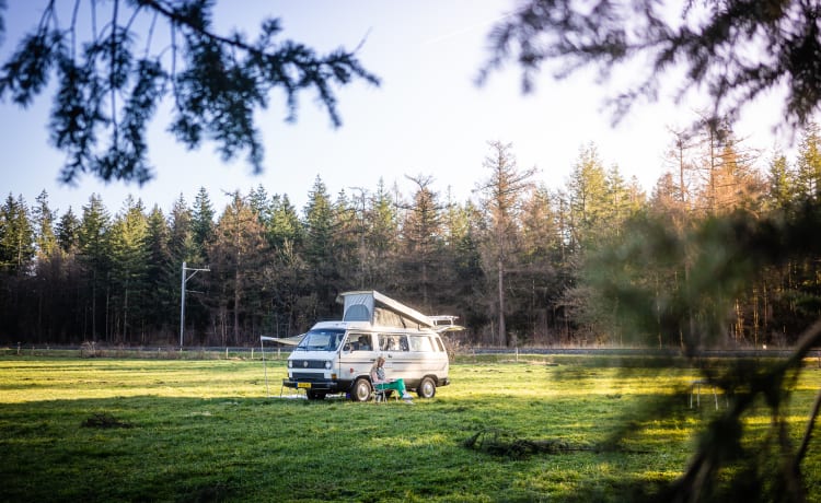 Spooky! – Complete VW T3 Camper