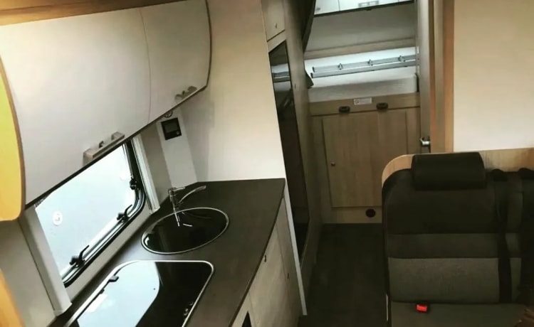 Luxe – LuxeVan Wohnmobil -Sitzplätze 6