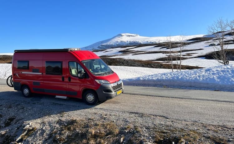 Pössl camper van from 2015