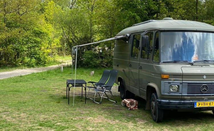 Groene Gast – Groene Gast: uniek avontuur in retrocamper!