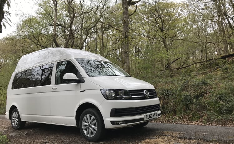 Alpina – T6 Camper ready for your adventures 